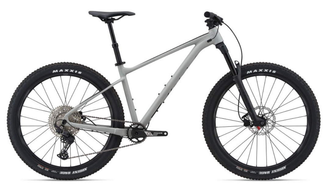 2021 Giant Fathom 2 Silver, gray or bare metal
