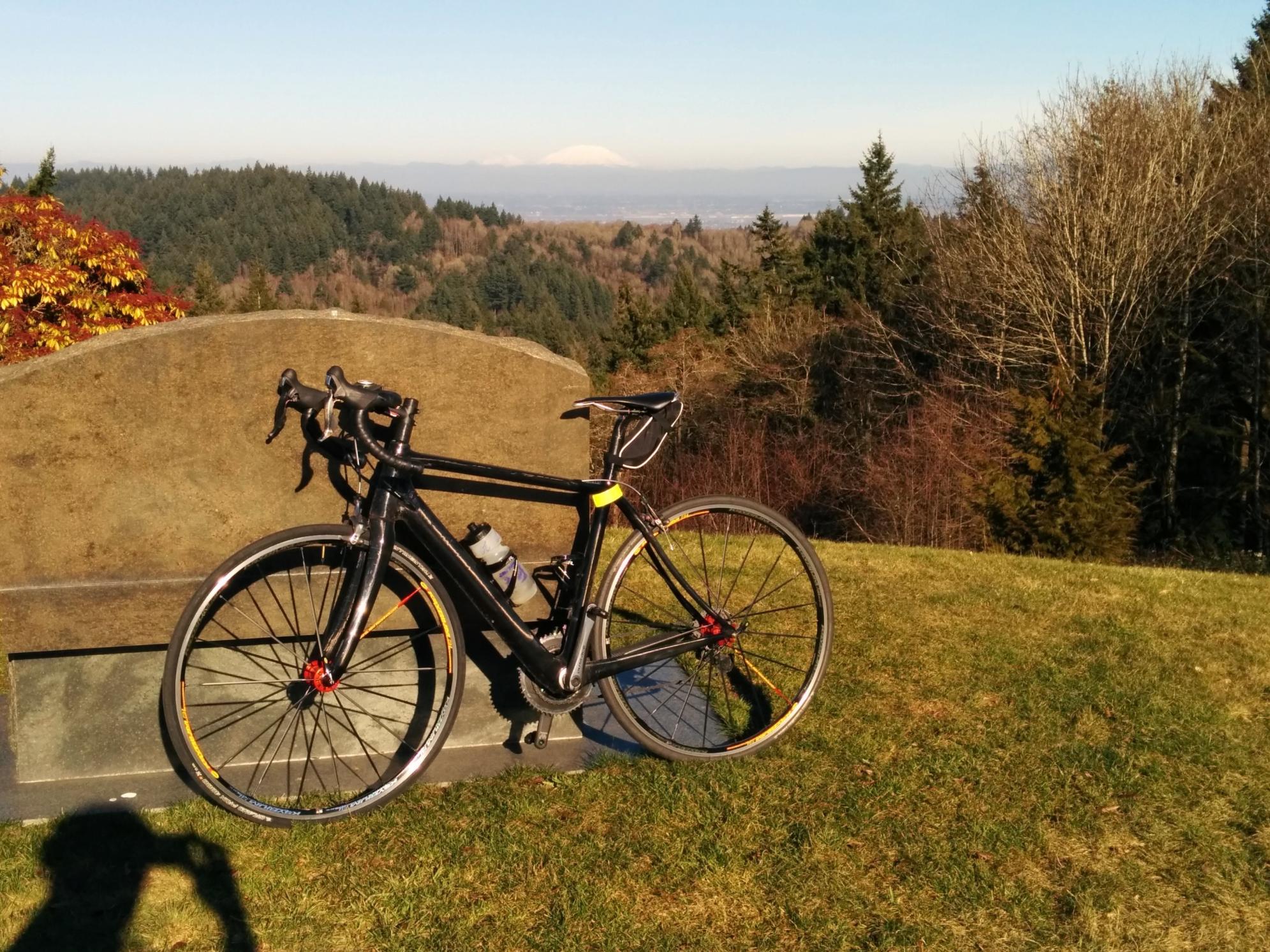 2012 Pedalforce Enduro Black