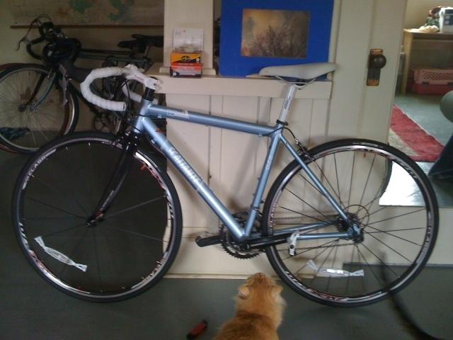 2010 Scattante W-560  Black