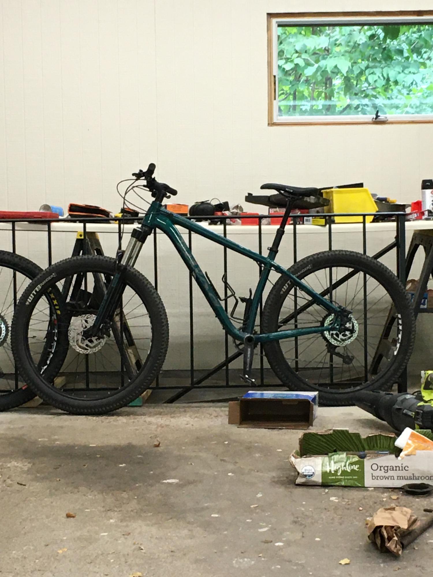 2019 Salsa TimberJack Green