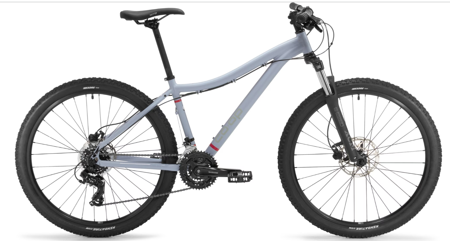 2021 REI Co-op DRT 1.1 Bi Silver, gray or bare metal