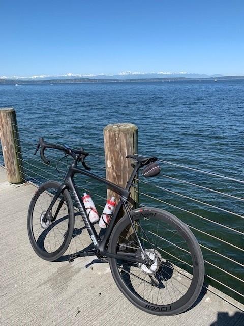 2020 Specialized Roubaix Black