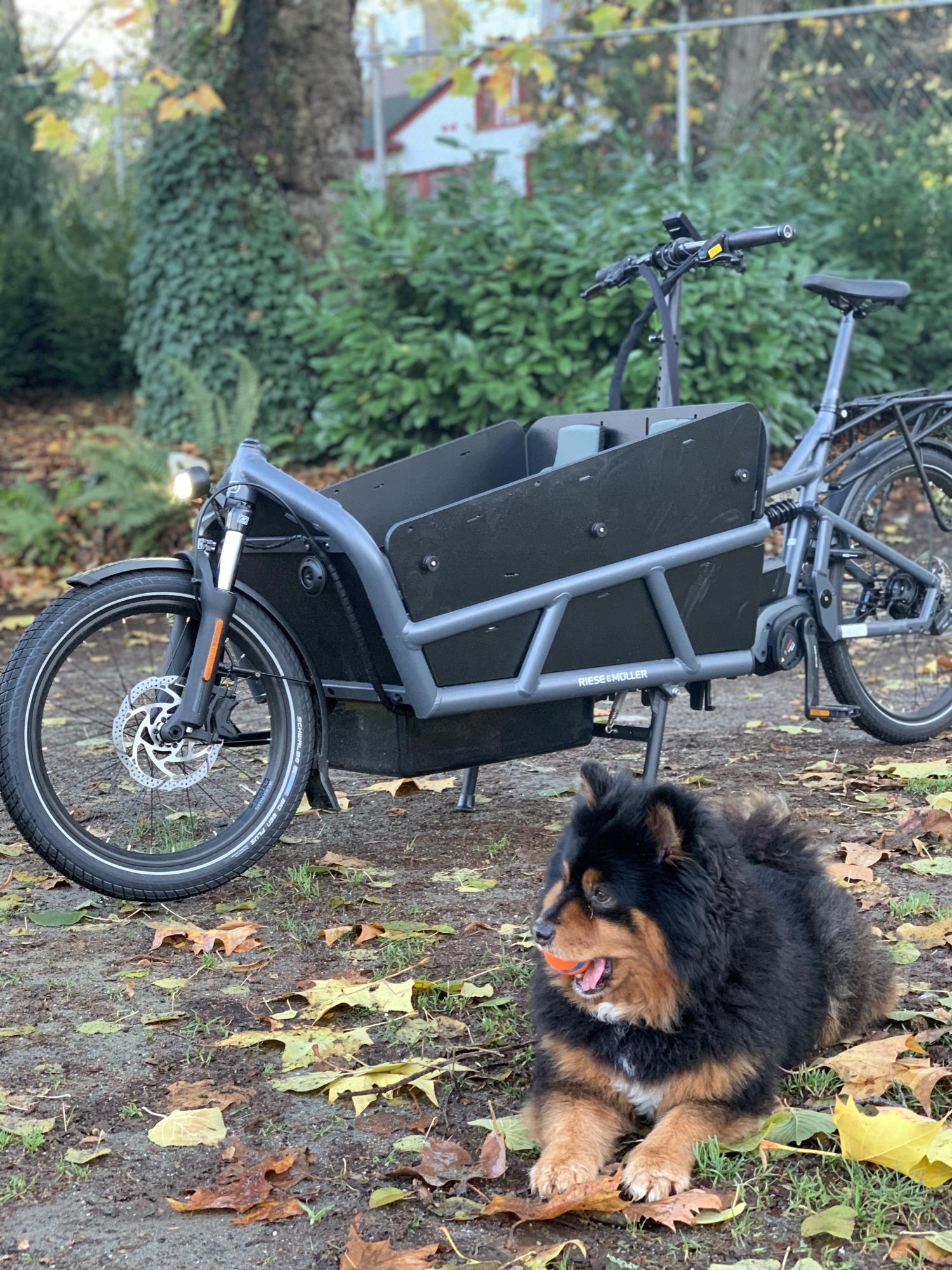 2021 Riese und Müller Load 75 Green and Black