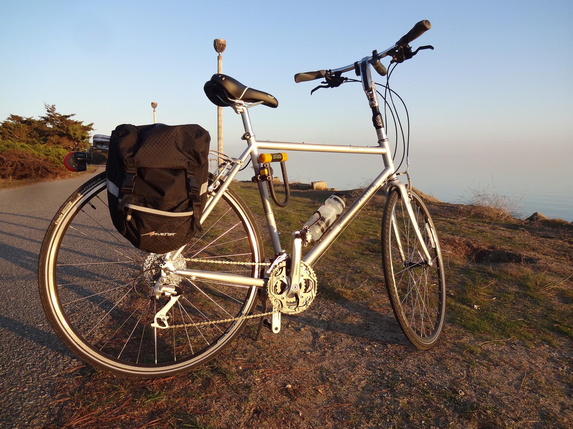 2013 Jamis Coda Comp  Silver or Gray