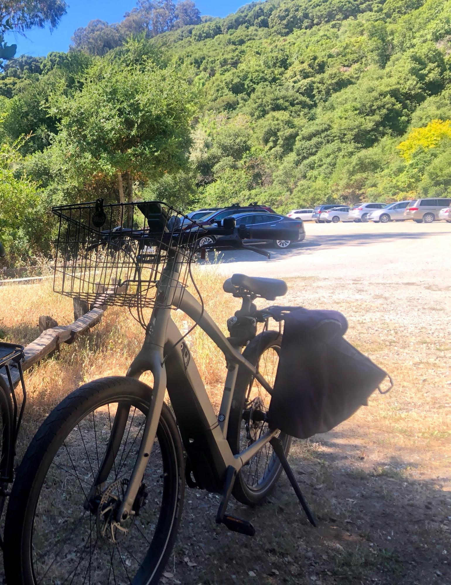 2019 Specialized Como Silver, gray or bare metal