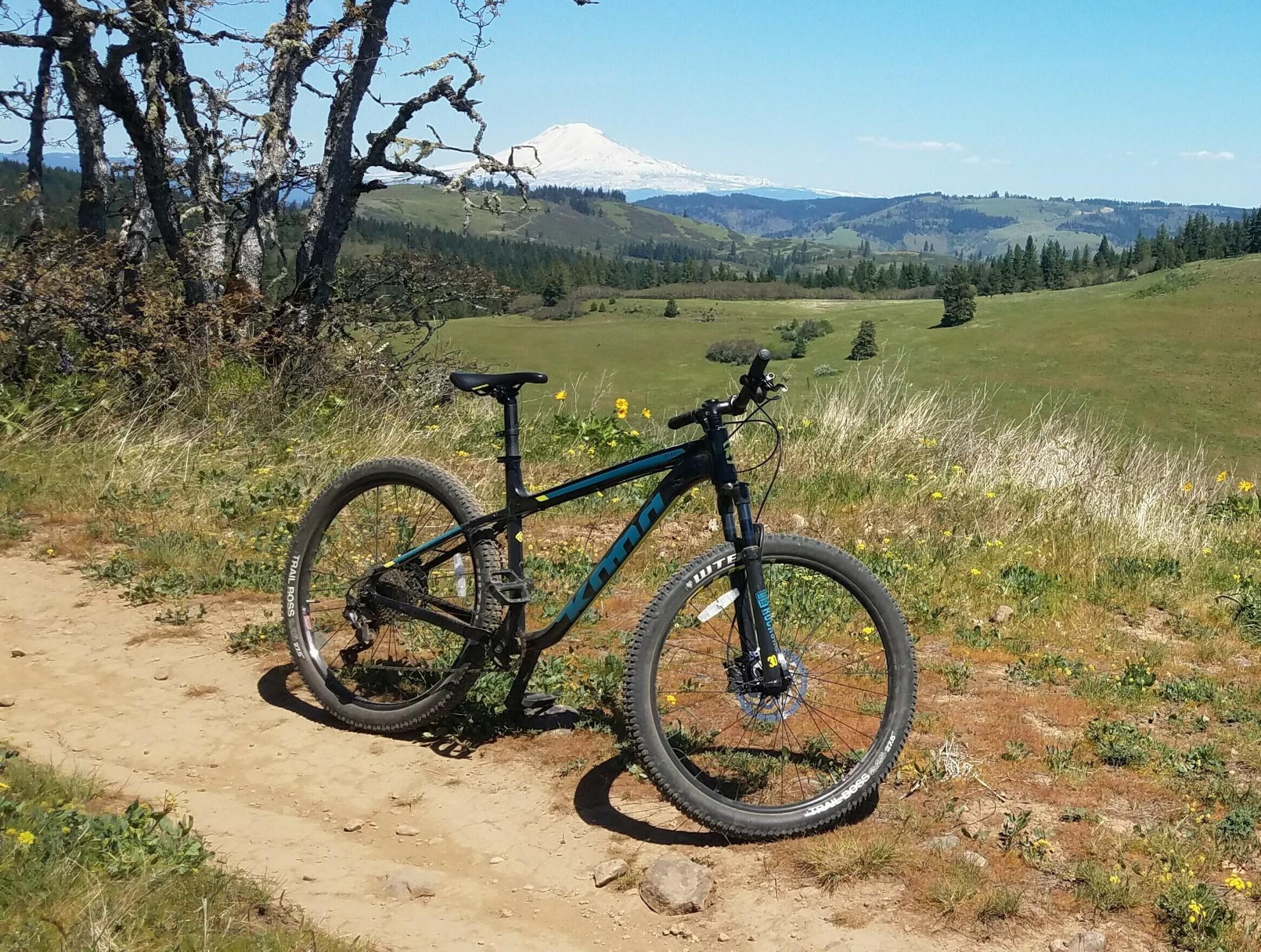 2020 Kona Blast Black and Blue