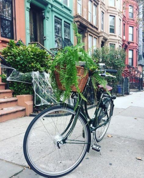 2017 Pashley Cycles 17.5