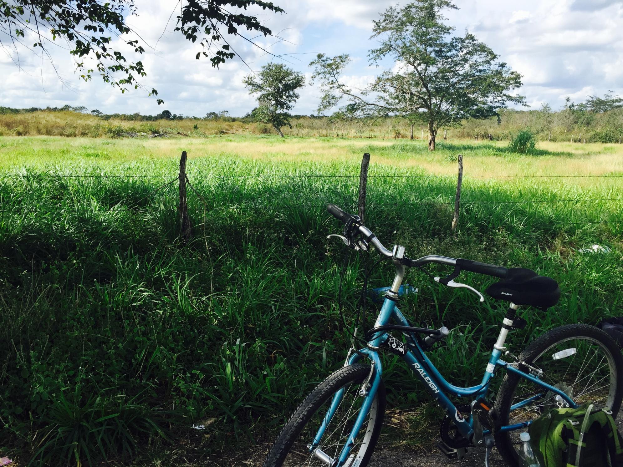 2014 Raleigh Venture Teal