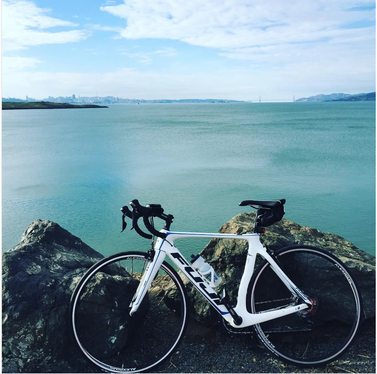 2015 Fuji Fuji Transonic 2.8 White and Blue
