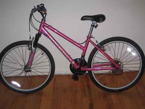 2006 Diamondback Outlook  Black