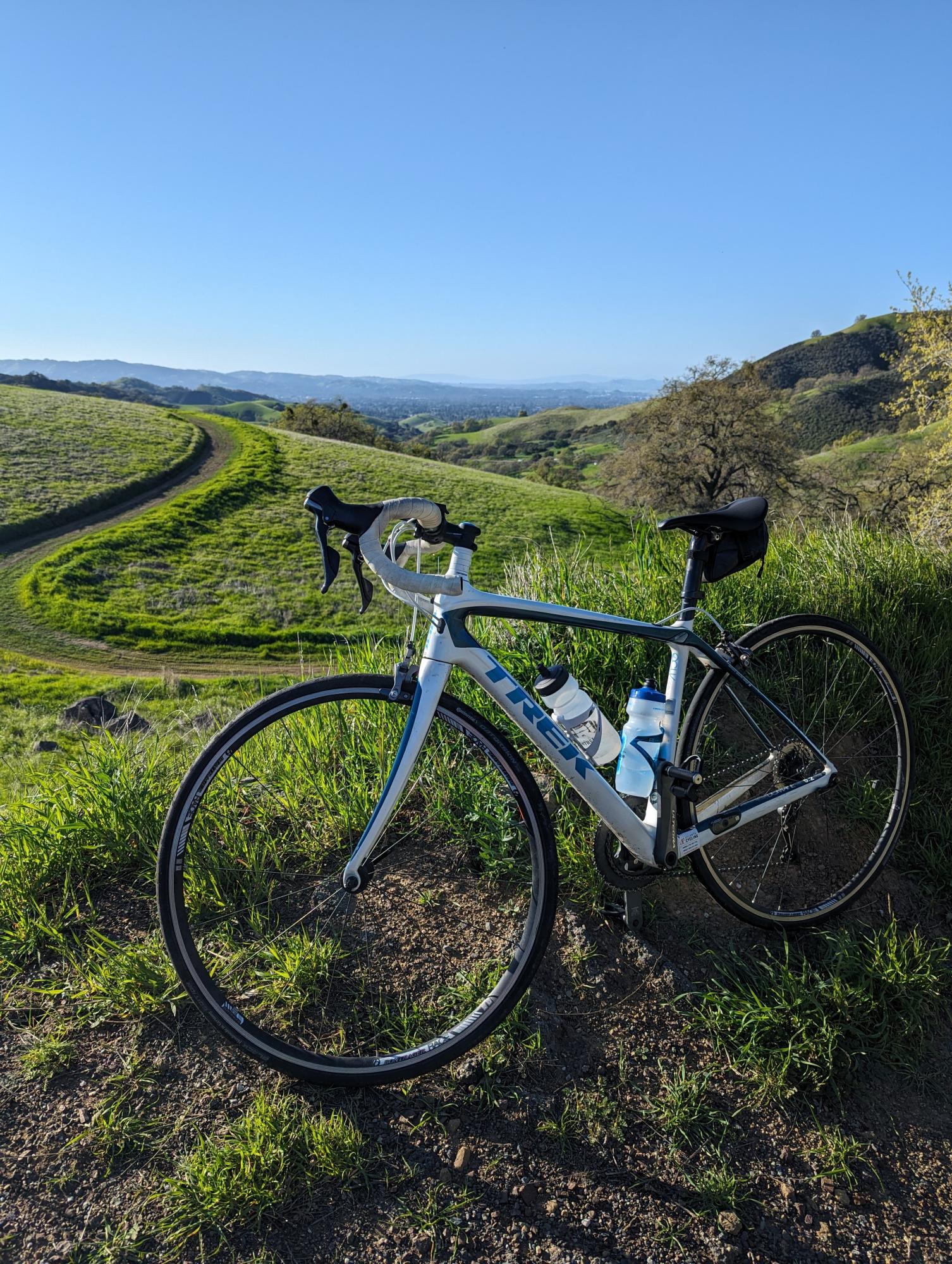 2014 Trek Domane 5.2 WSD White and Blue