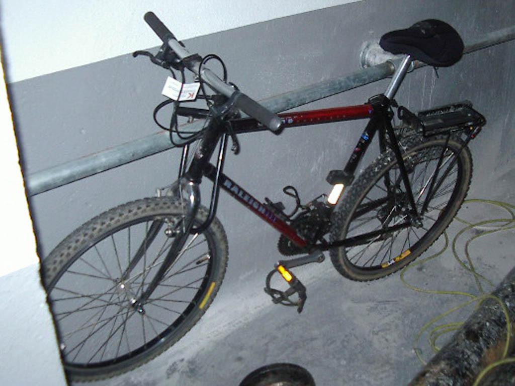 1995 Raleigh MT200  Black