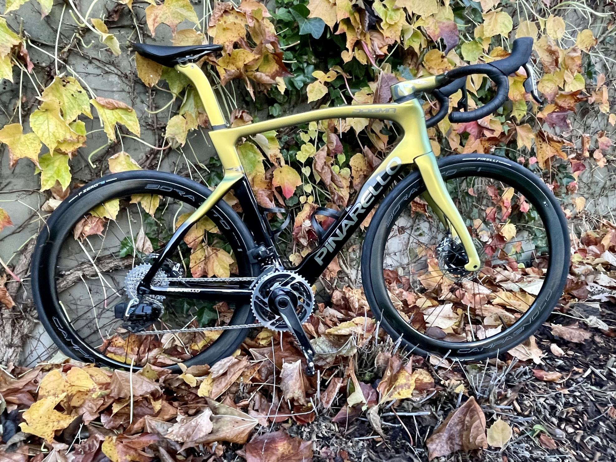 2022 Pinarello Dogma F Yellow or Gold and Black