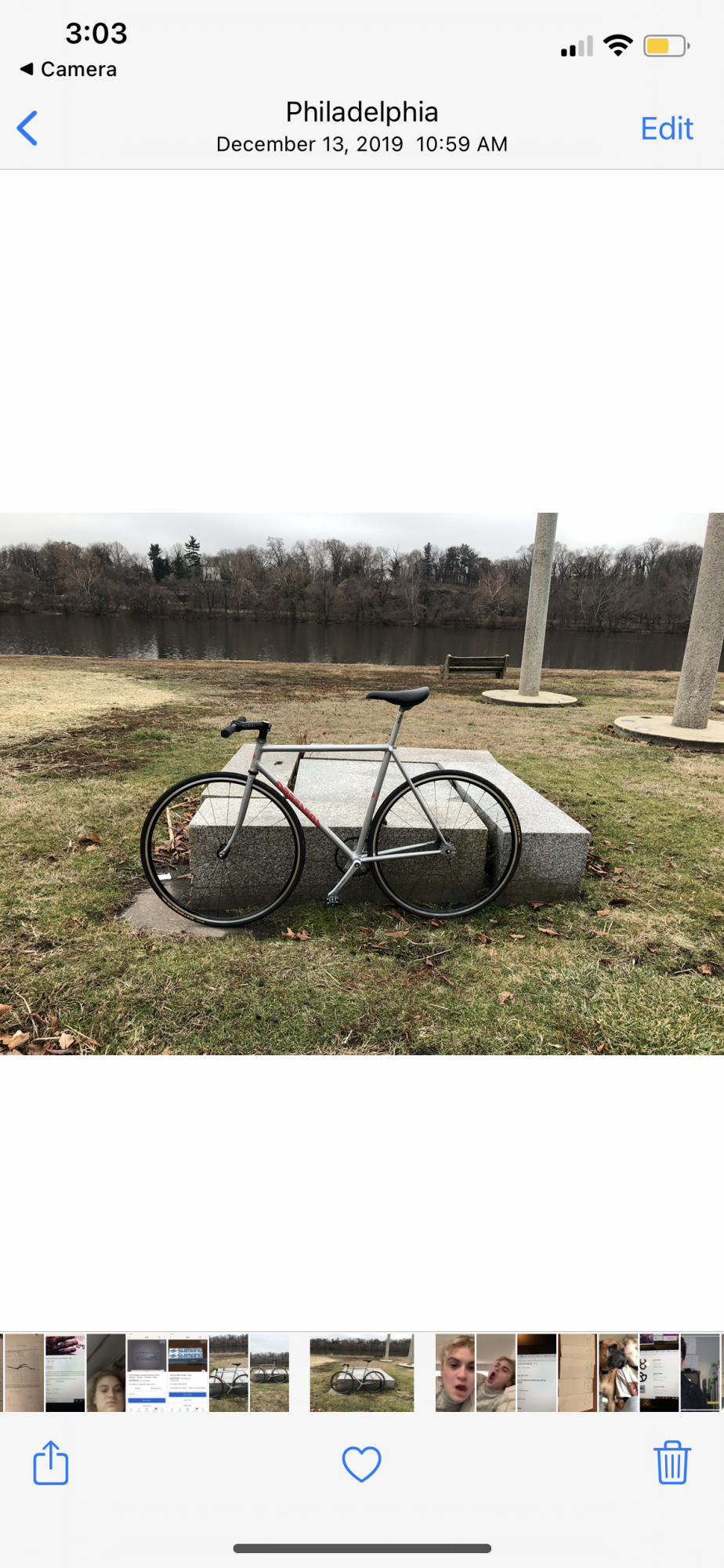 Dreesens Fixed Gear Silver, gray or bare metal