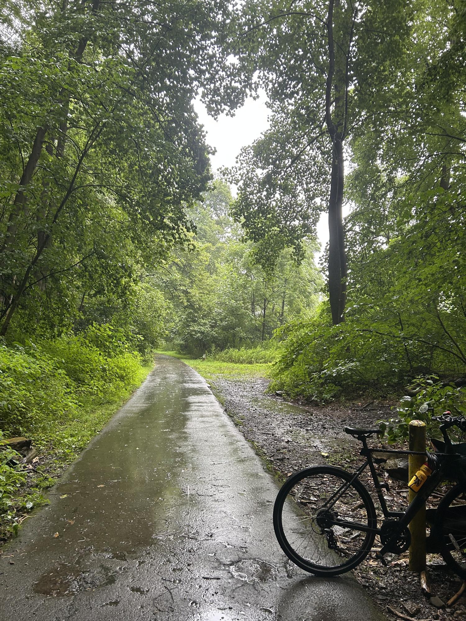 2021 Trek Verve 3 Disc Black