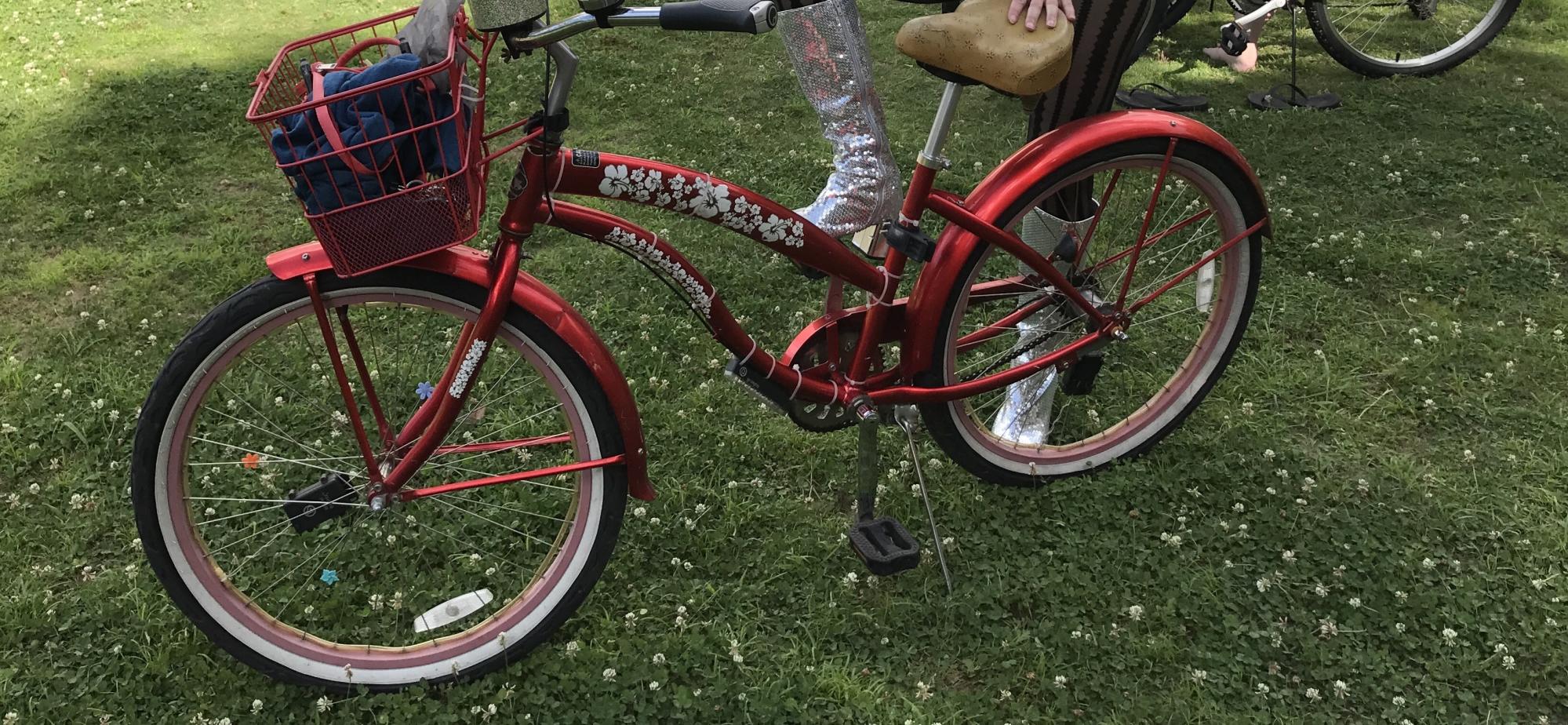2015 Greenline Beach cruiser Red