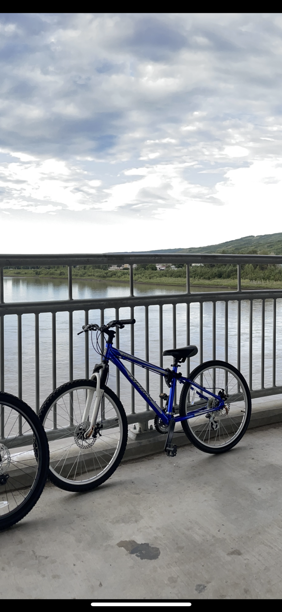 Norco Bikes Blue