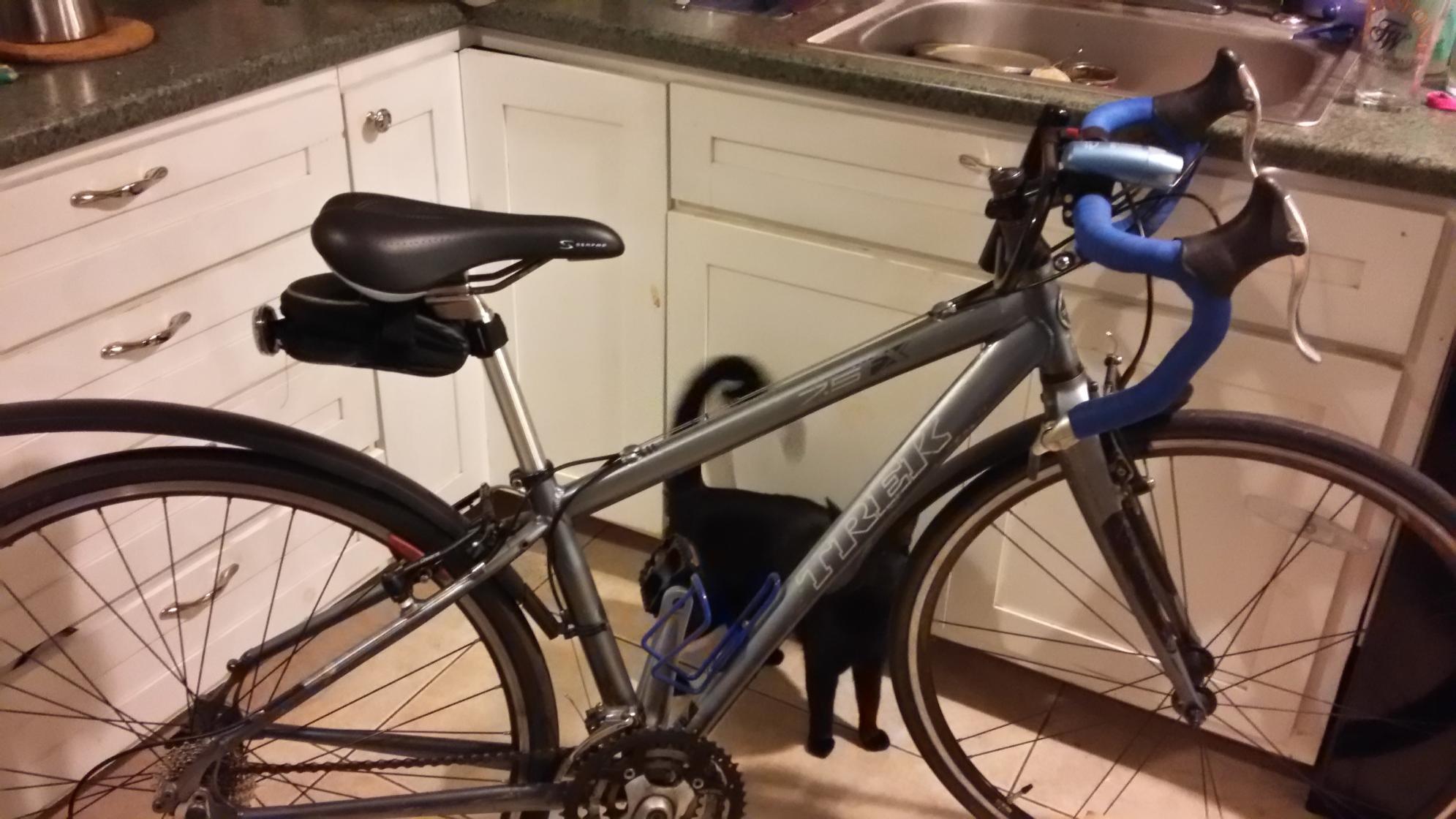 2007 Trek 7.5 FX Silver or Gray