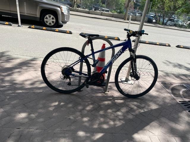 2015 Giant Roam 2 Blue and White