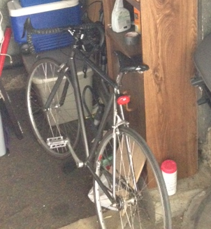 Raleigh Rush Hour Silver or Gray