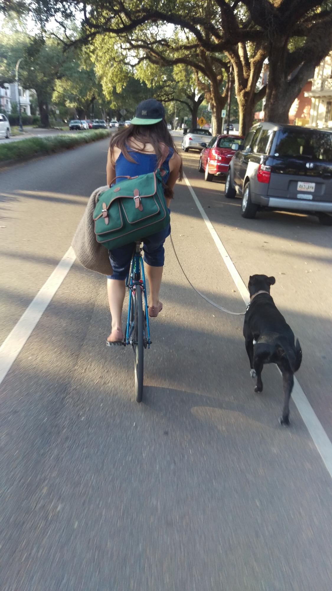 Schwinn Traveler Blue