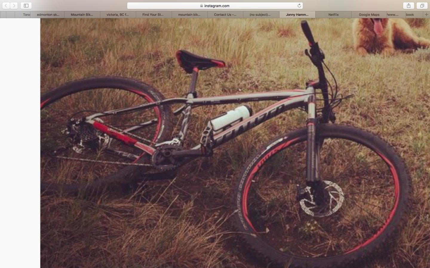 2014 Specialized Crave Expert 29 Silver or Gray, Black, and Red