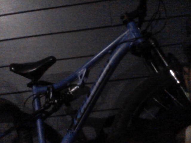 Dorel Industries raleich Blue