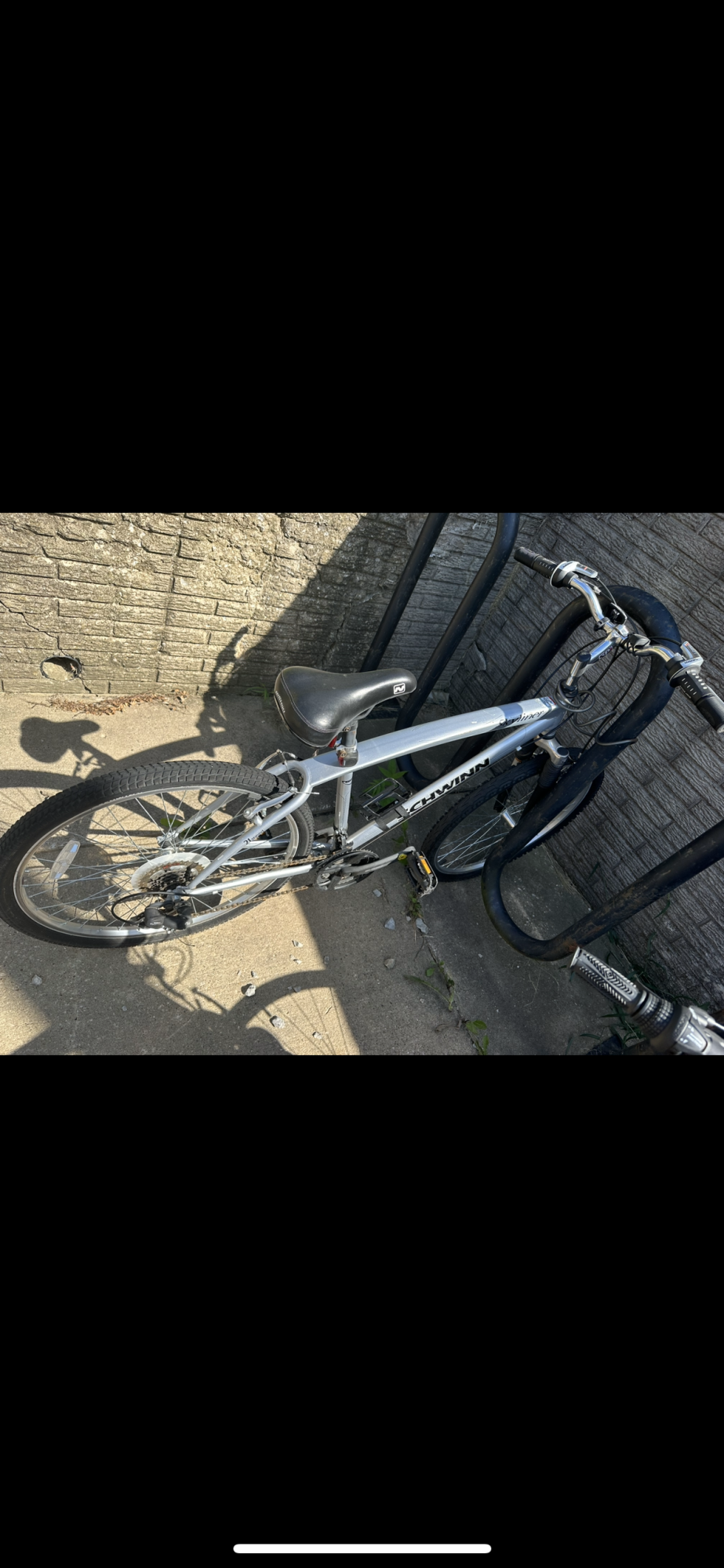 Schwinn Skyliner Silver, gray or bare metal