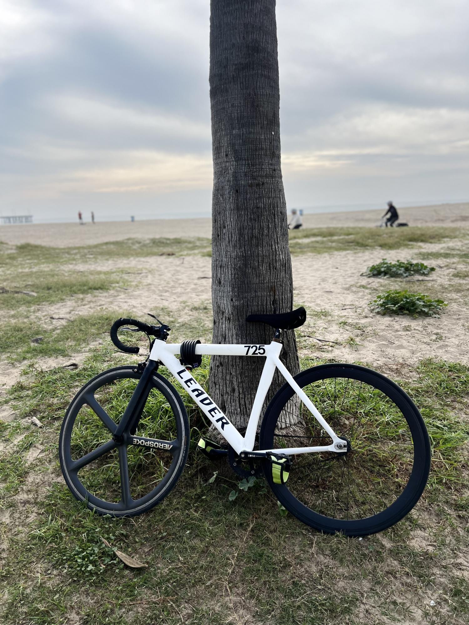 2015 Leader Bikes 725 White