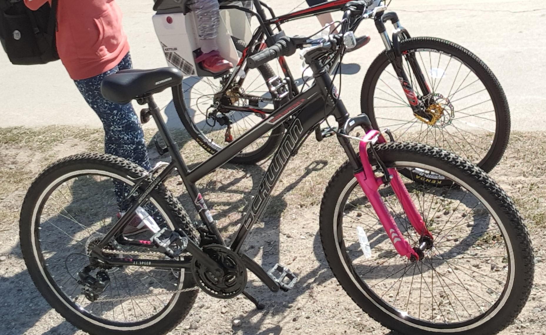 Schwinn 26