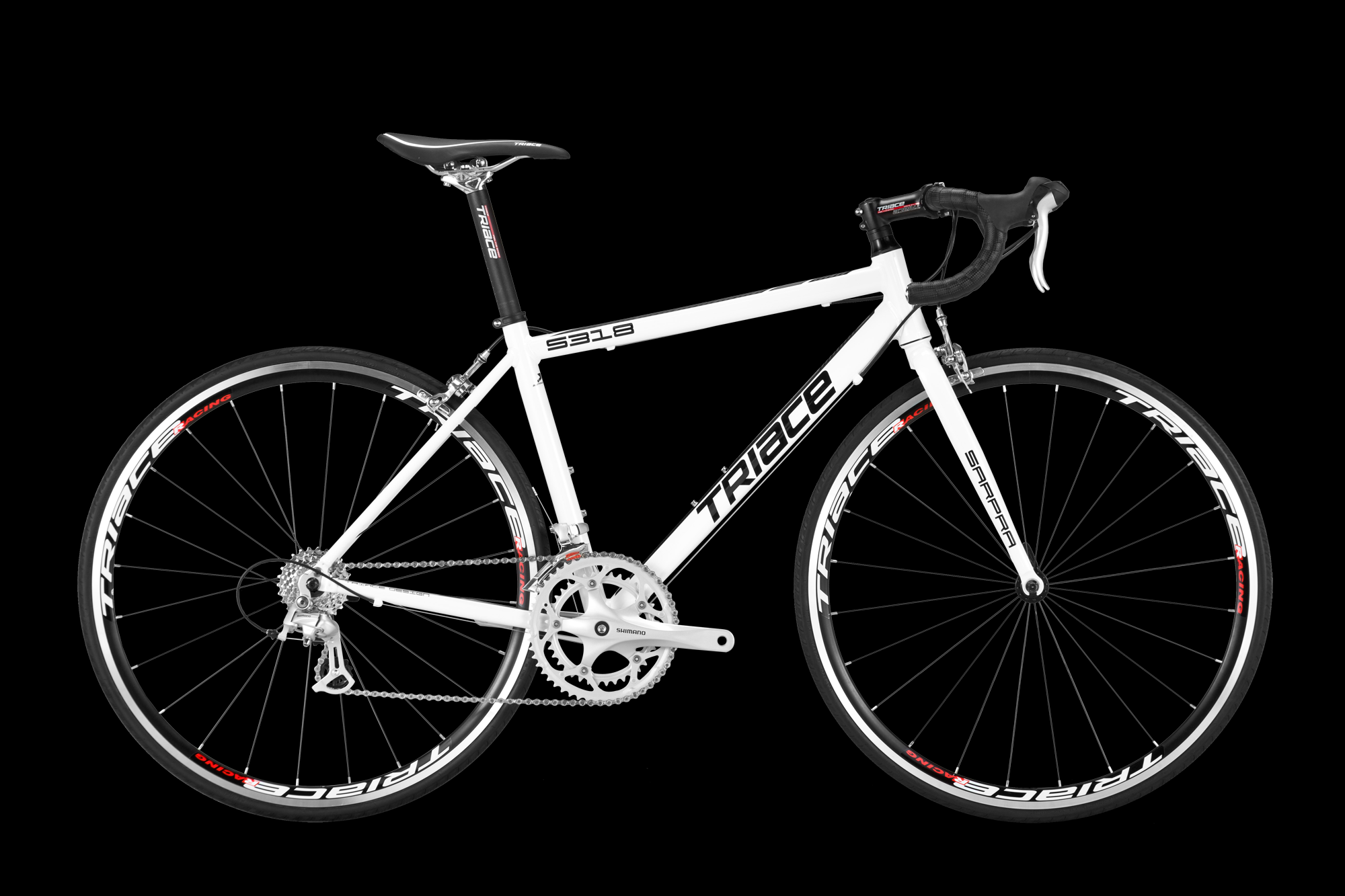 2013 TRIACE S 318  White