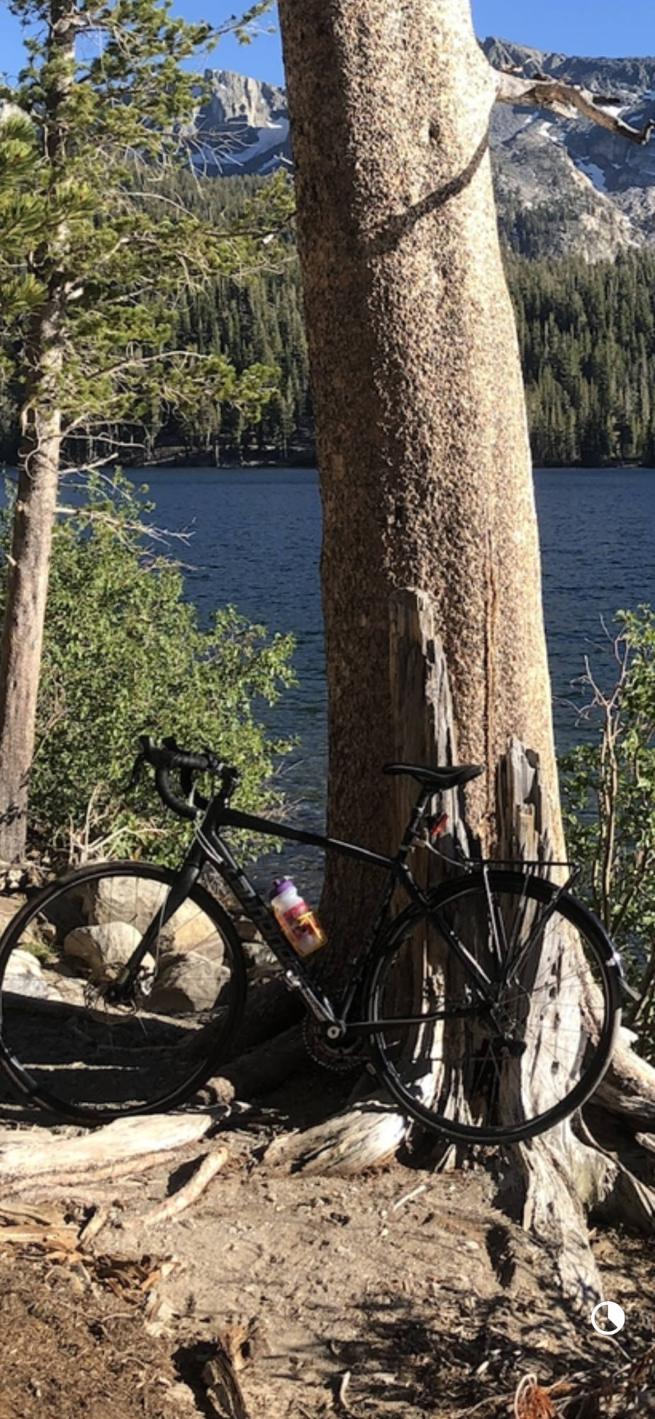 2015 Cannondale Synapse Black