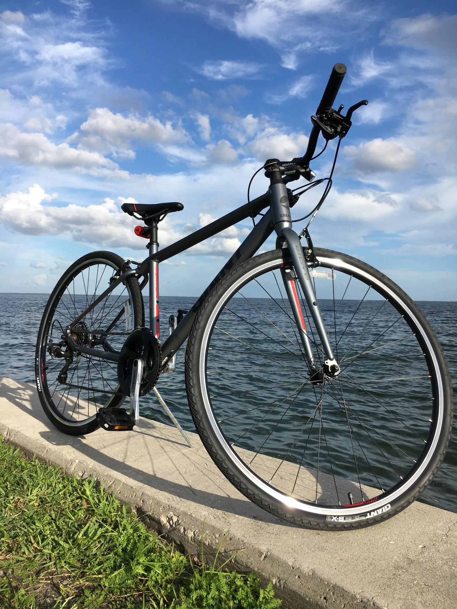 2014 Giant Escape 0 Silver, gray or bare metal