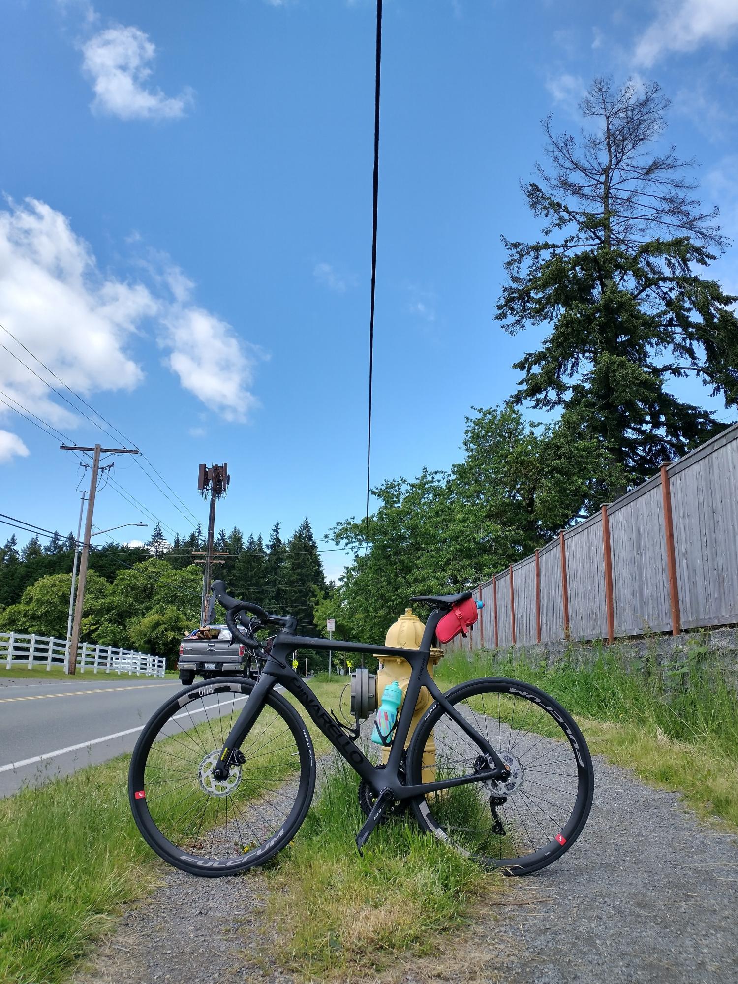 2020 Pinarello Paris Black