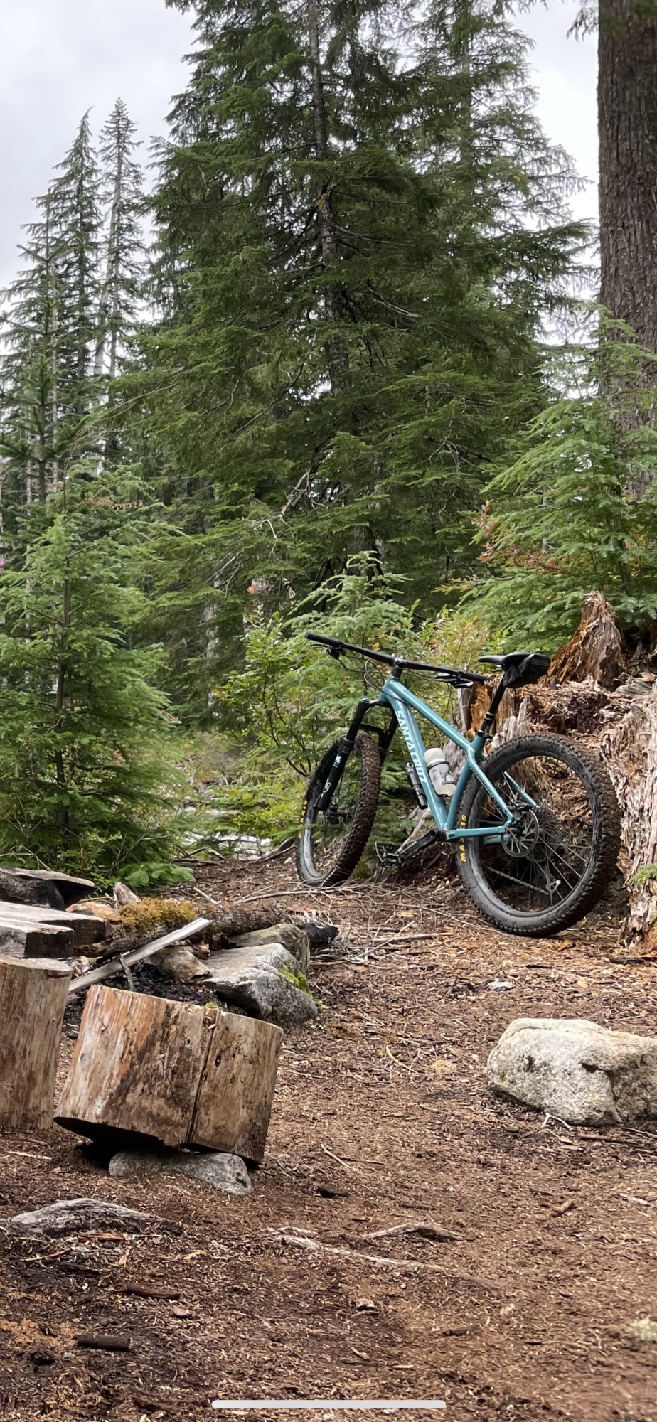 Santa Cruz unknown Blue