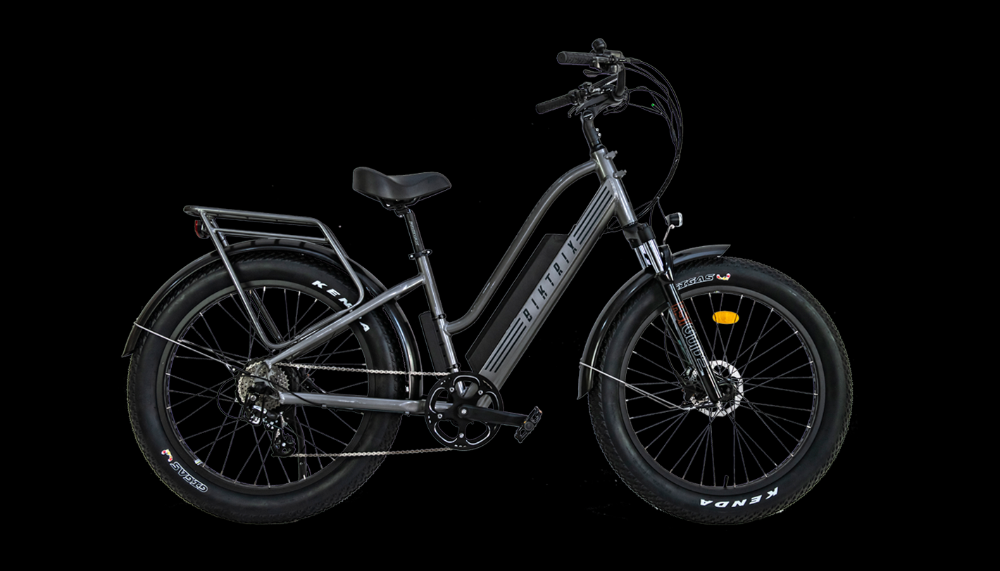 2021 Biktrix Stunner LT Silver, gray or bare metal