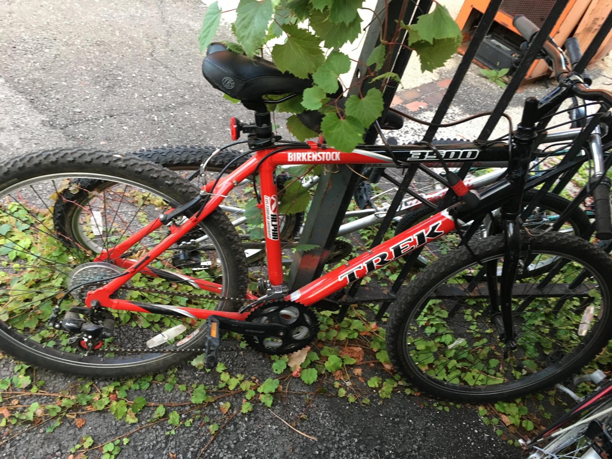 Trek 3500 Red