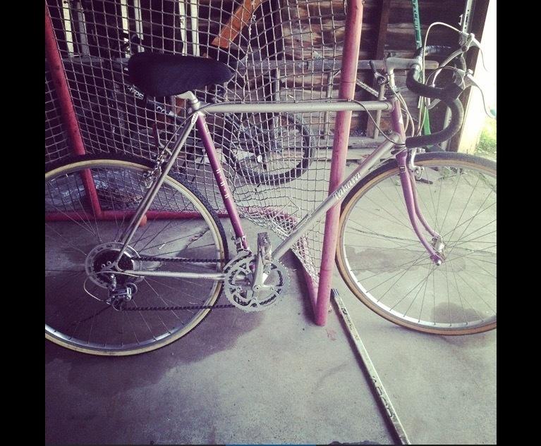 Takara prestiege Purple and Silver or Gray