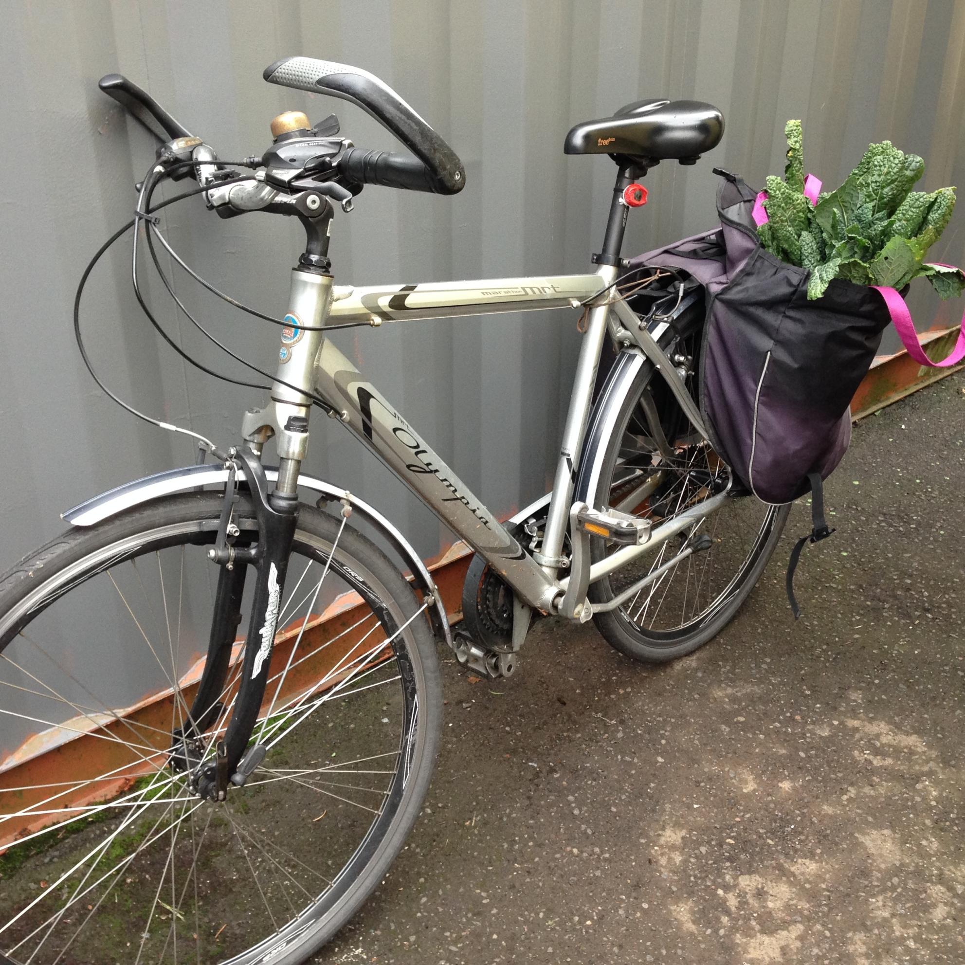 Olympia (Italy) MRT Silver or Gray