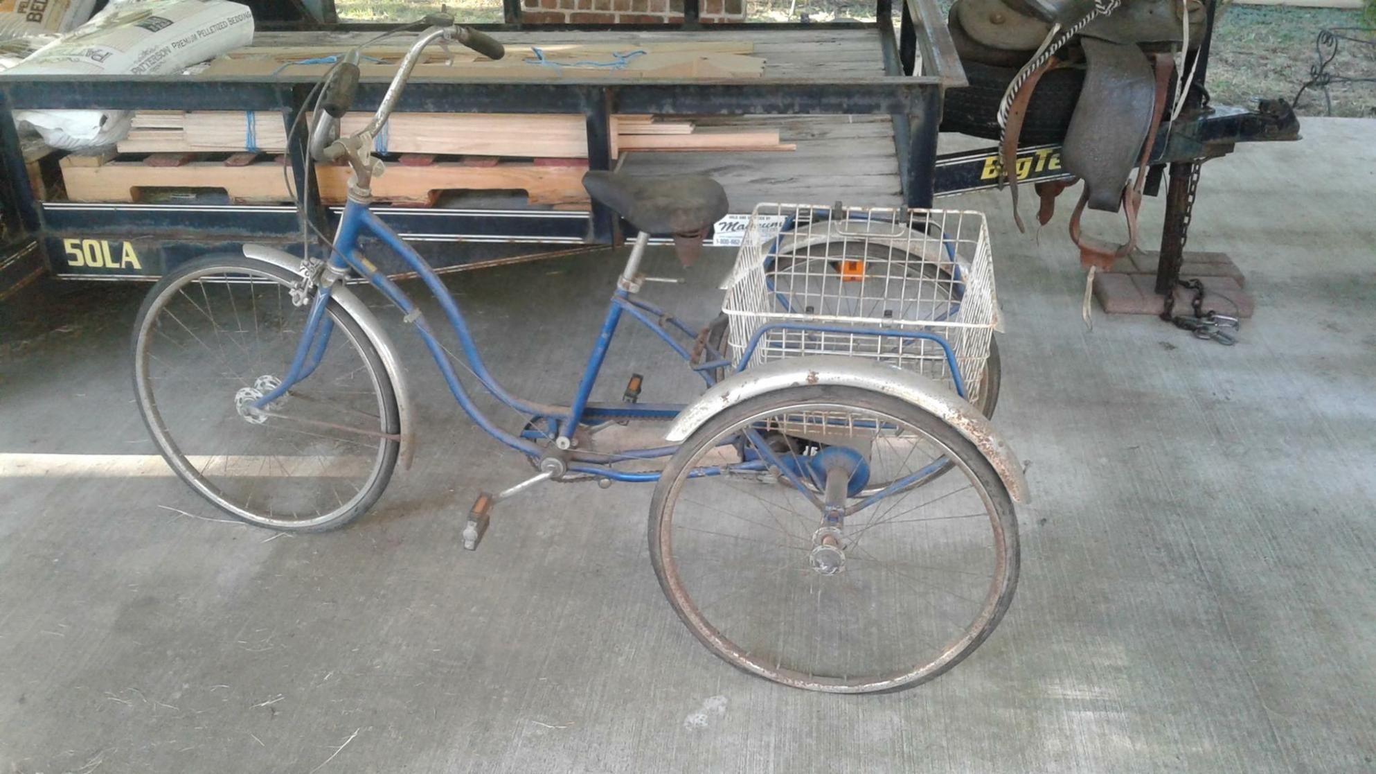 Other tricycle Blue
