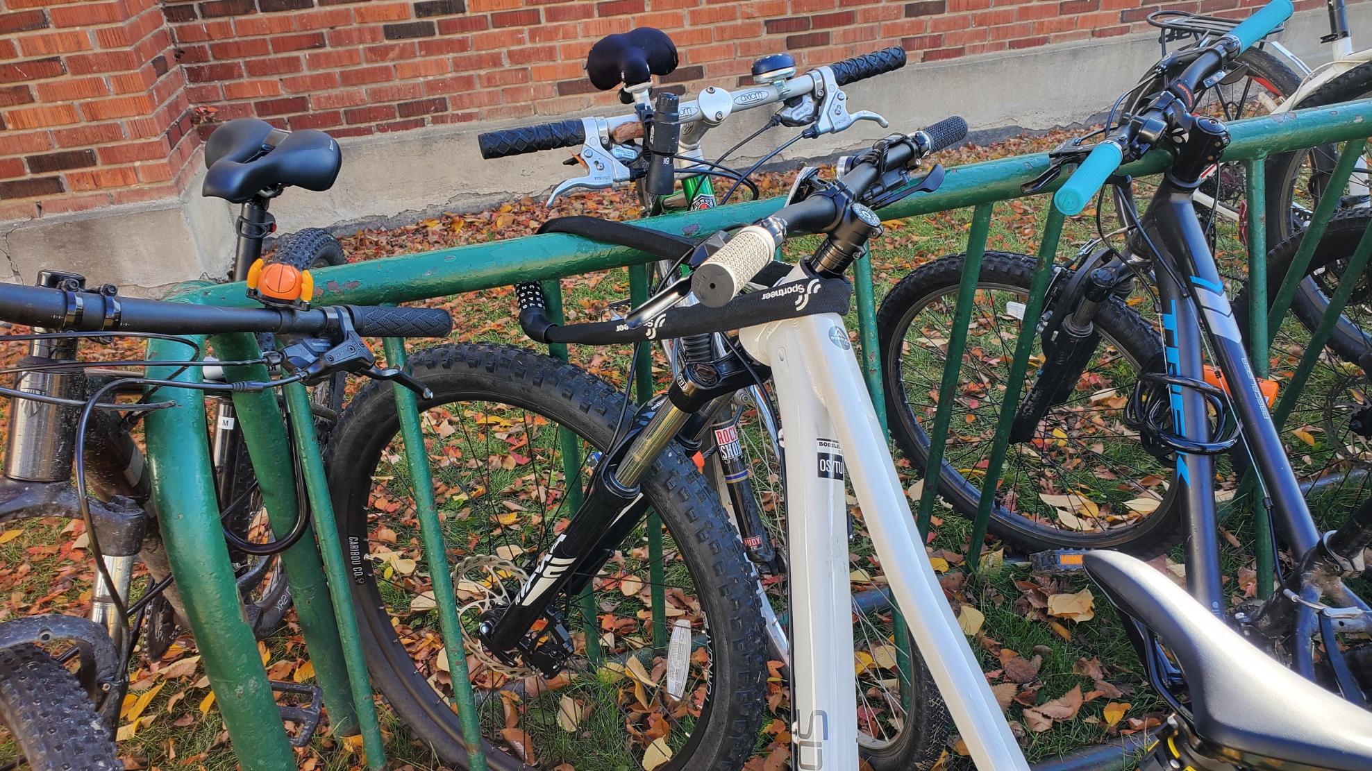 2023 Other Bobsled White