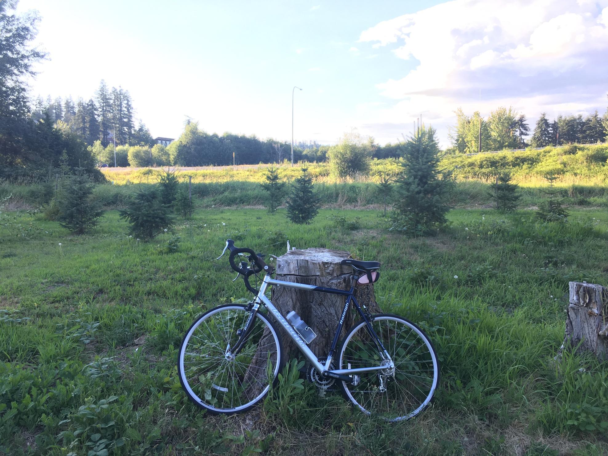 2008 Raleigh Grand Sport Silver or Gray