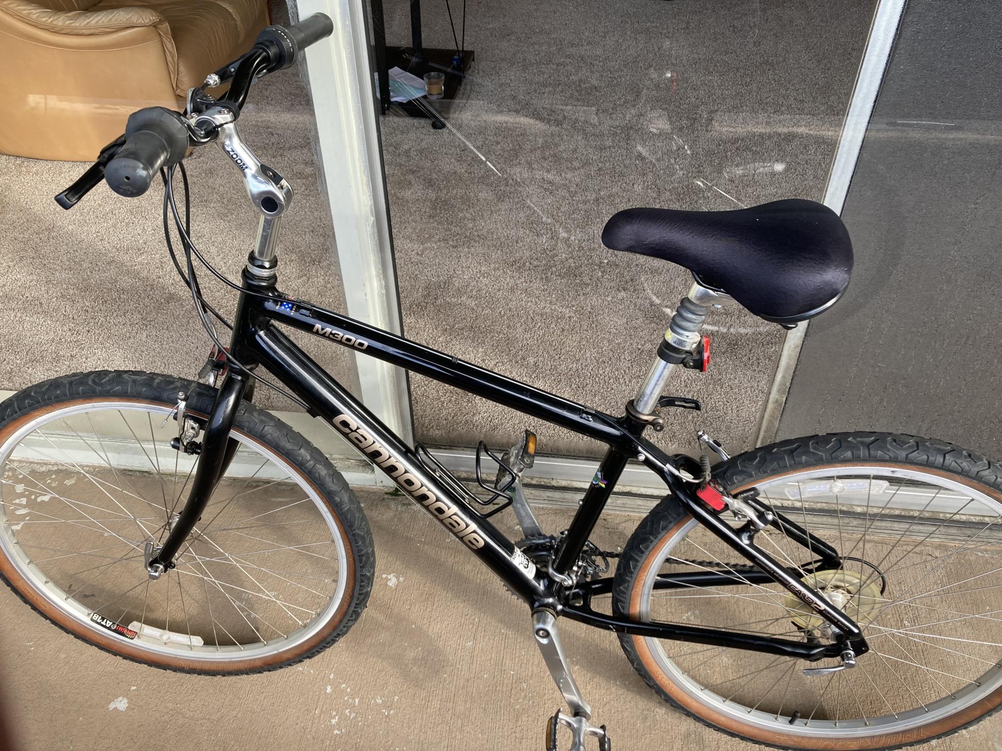 Cannondale M300 Black