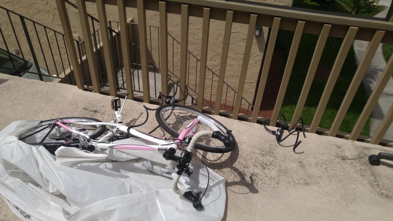 Giordano Frame 6061 Pink and White