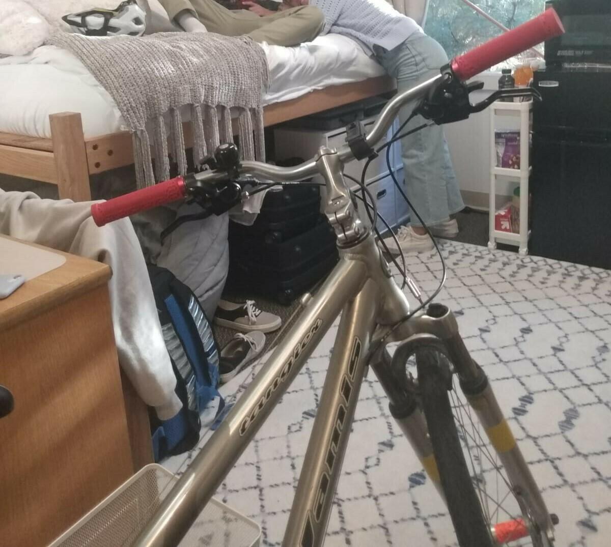 2004 Jamis Tangier Silver, gray or bare metal