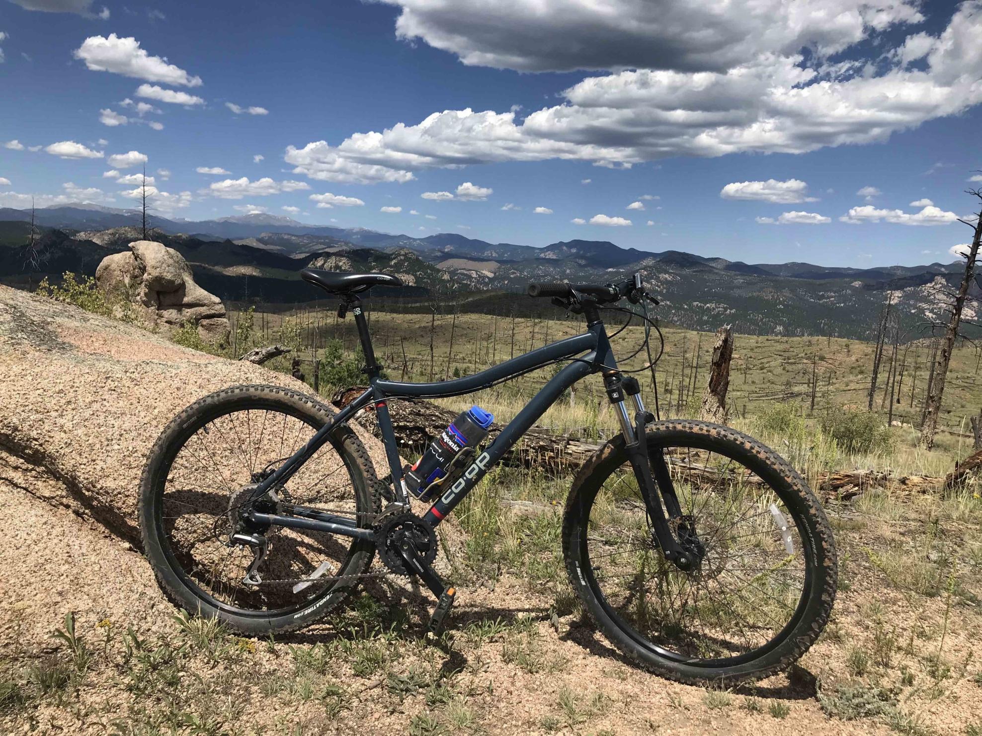 2017 REI CO-OP CYCLES DRT 1.1 Blue