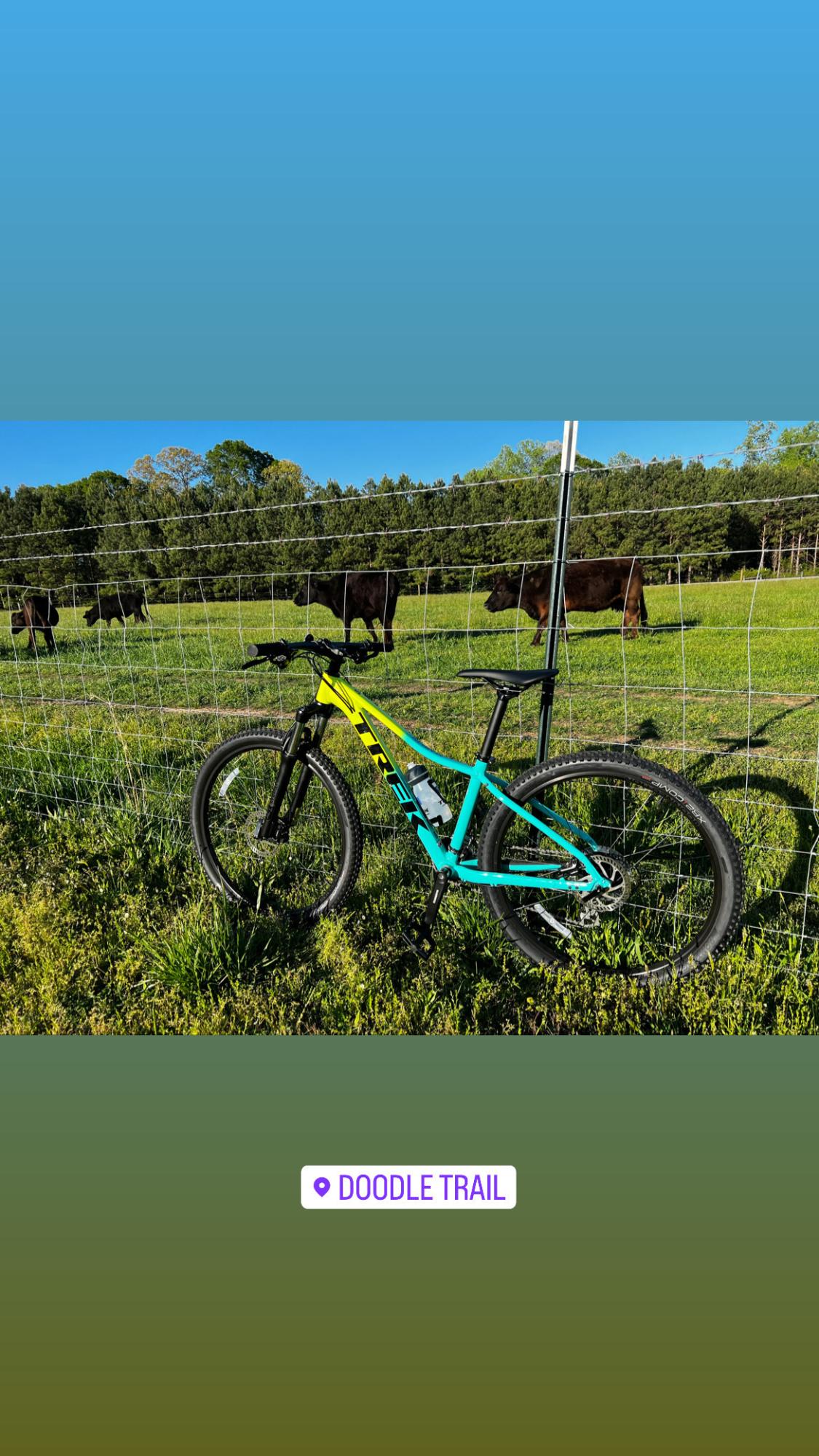 2023 Trek Teal and Green