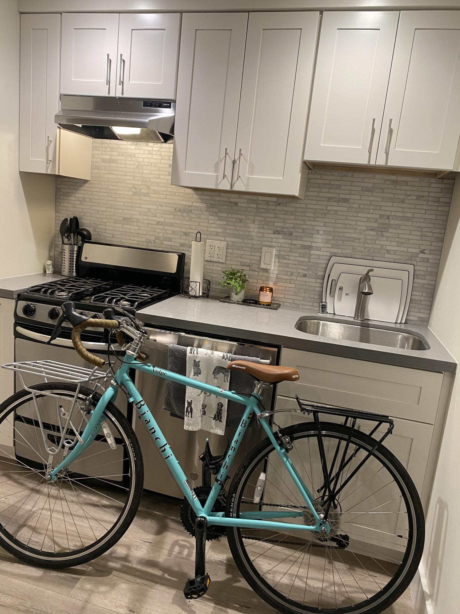2020 Bianchi Volpe Teal