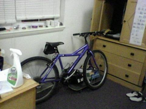 Cannondale  Purple