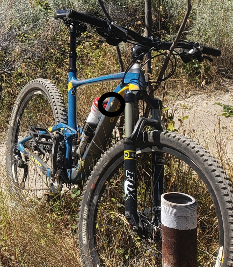 2015 Giant Anthem SX Blue and Yellow or Gold